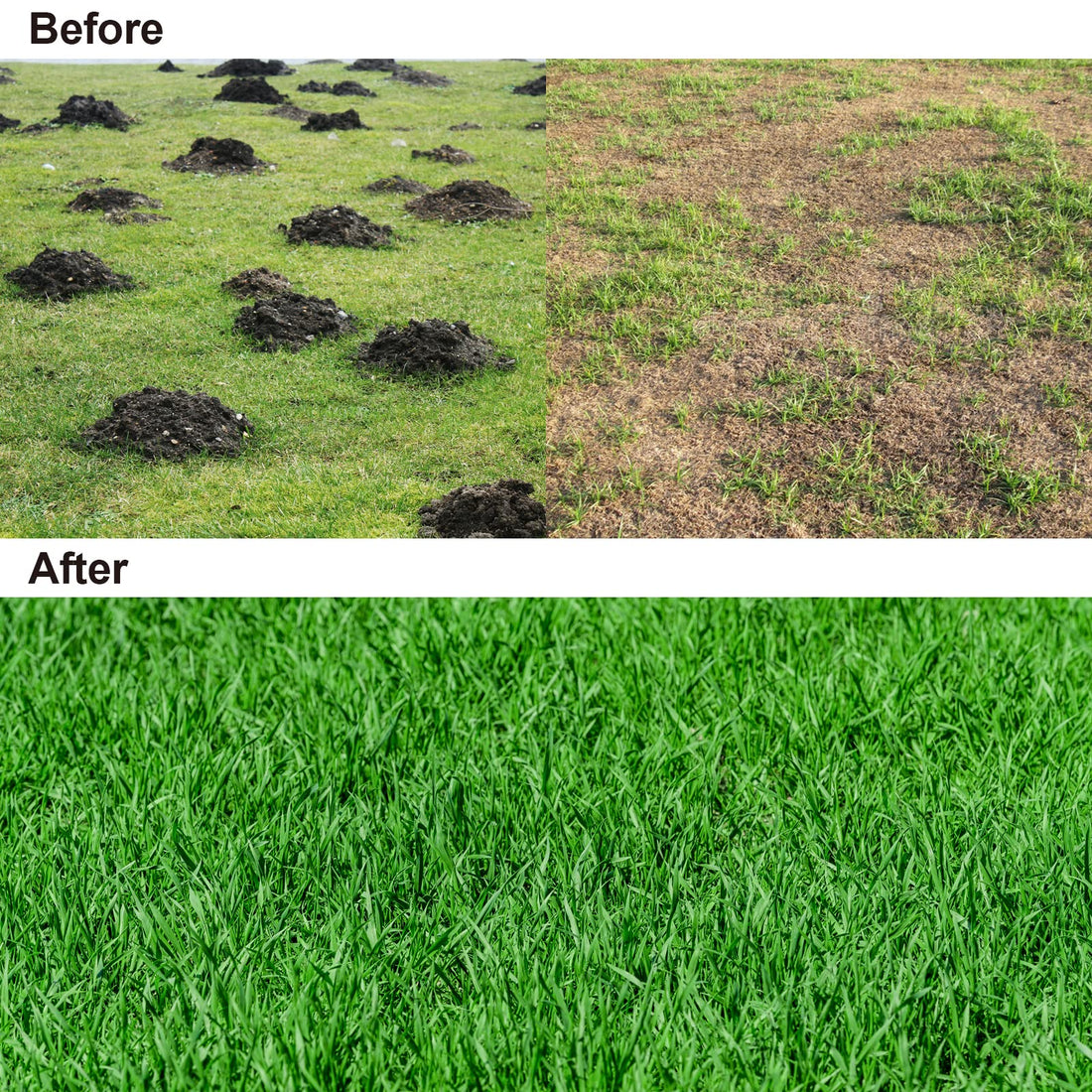 Signstek Lawn Leveling Rake, Stainless Steel Lawn Leveler with 30” x 10” Ground Plate, 76.7” Adjustment Long Handle, Level Lawn Tool for Grass, Golf Field, Garden, Level Soil